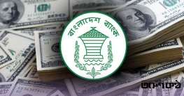 নতুন বছরের প্রথম ২৪ দিনে রেমিট্যান্স এলো ২৪৮ কোটি ডলার